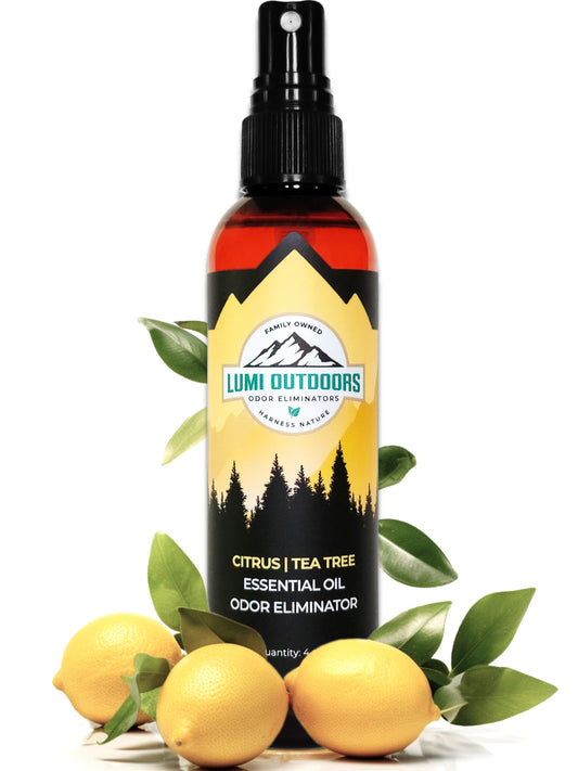 Shoe Deodorizer Spray - Citrus | Tea Tree