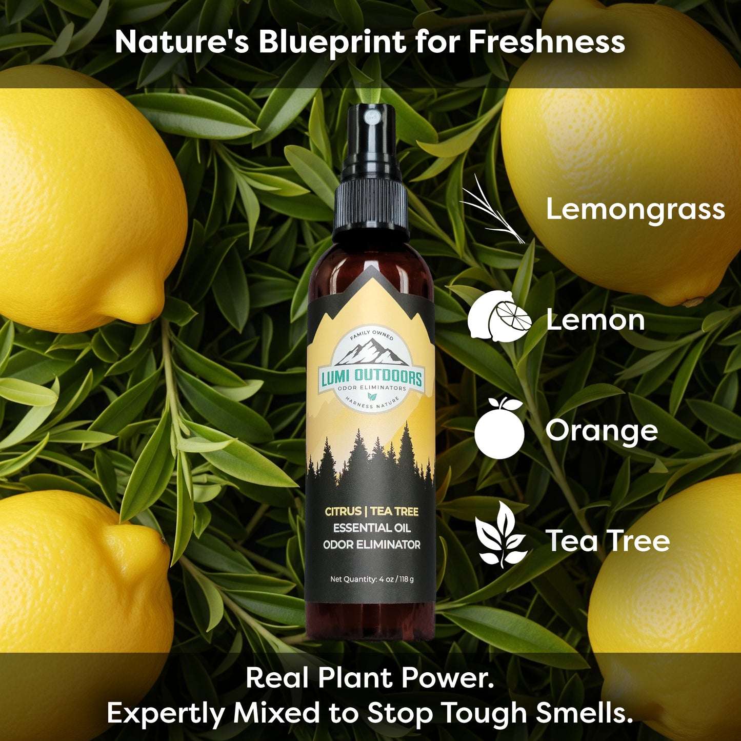 Lumi Outdoors Natural Shoe Deodorizer Spray | Citrus & Tea Tree