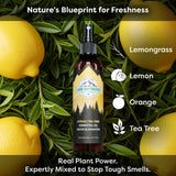 Lumi Outdoors Natural Shoe Deodorizer Spray | Citrus & Tea Tree