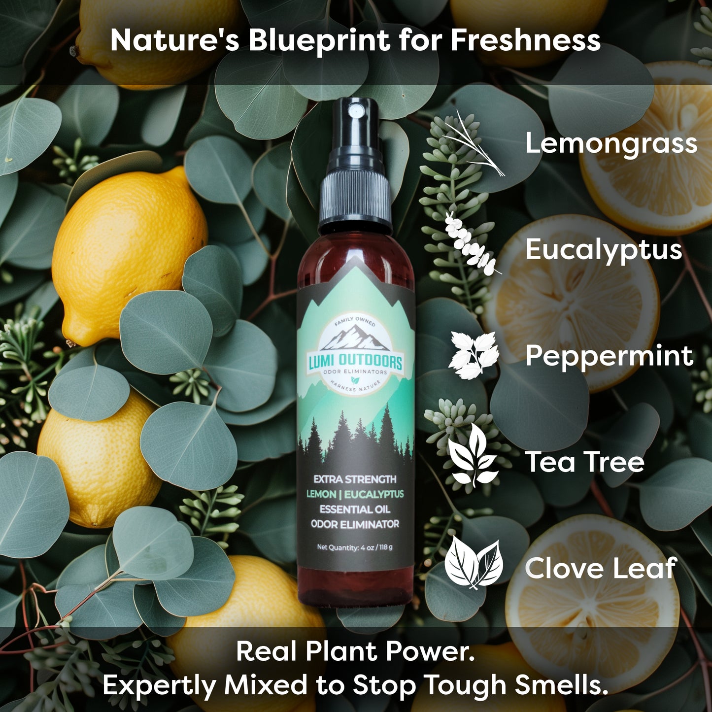Lumi Outdoors Shoe Deodorizer Bundle | 1 Natural Spray & 1 Powder