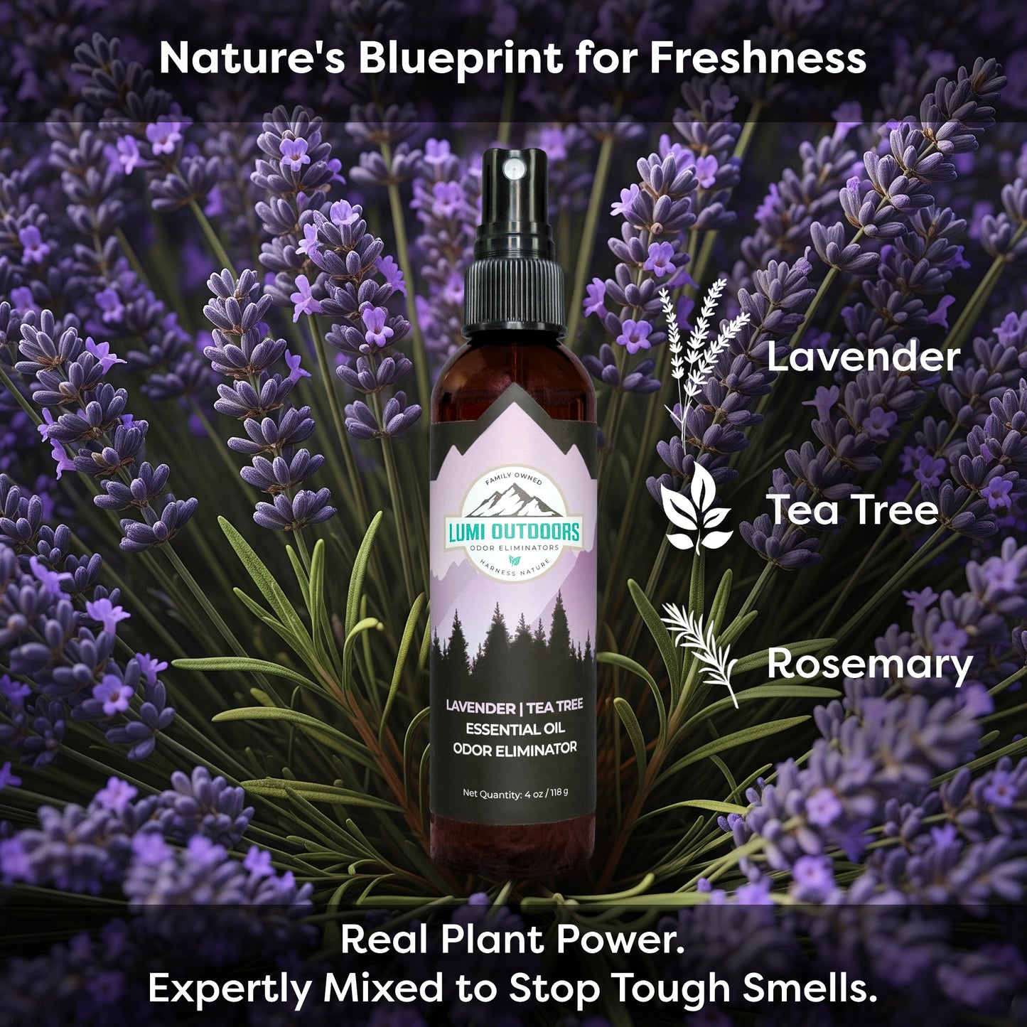 Lumi Outdoors Natural Shoe Deodorizer Spray | Lavender & Tea Tree